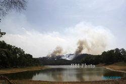 FOTO KEBAKARAN HUTAN TANGKAPAN AIR : Api Membakar Pepohonan