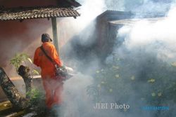 DEMAM BERDARAH WONOGIRI : DBD dan Chikungunya Merebak, Kaloran Difogging