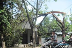 ANGIN KENCANG SRAGEN : Diterjang Angin Ribut, 1 Rumah Tertimpa Pohon