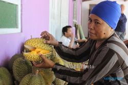 WISATA BUAH DI KLATEN : Waahh, Ada Rumah Durian di Karangnongko