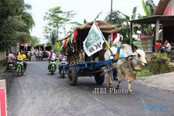 PEMILU 2014 : Caleg DPRD Klaten Ini Pilih Berkonvoi dengan 100 Gerobak Sapi