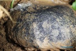Warga Korea Selatan Berburu Meteorit Rp936 Juta