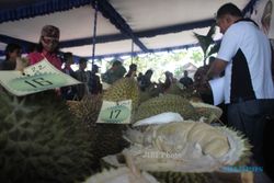 FESTIVAL DURIAN KARANGANYAR : Bupati Menang Lelang 10 Durian Rp2,6 Juta!