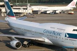 Boeing 747 Mendarat Darurat Gara-Gara Diserang Burung   