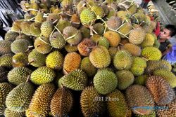 FOTO MUSIM DURIAN : Pedagang Durian Menjamur