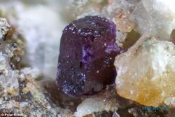 PENEMUAN BARU : Mineral Baru Berwarna Ungu Ditemukan Peneliti Australia 