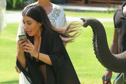 Diajak Foto Selfie Kim Kardashian, Gajah Thailand Malah Protes