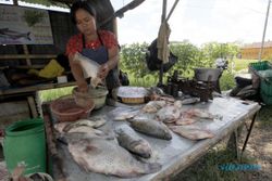 LEBARAN 2014 : Produksi Ikan di Sleman Melimpah, Stok Aman