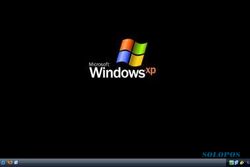 Demi Pertahankan Windows XP, Belanda Rela Bayar Jutaan Euro