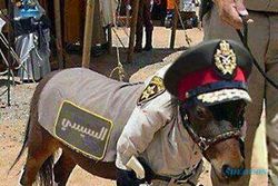 KISAH UNIK : Mirip Menteri Pertahanan Mesir, Keledai Dihukum 6 Bulan Penjara!