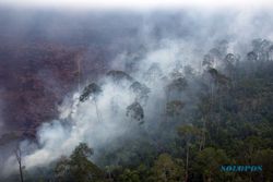 Lahan Perkebunan Rakyat di Riau Terbakar