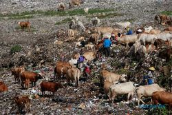 TPST PIYUNGAN : Buang Sampah ke TPST Piyungan Harus Bayar, Bantul Siapkan Anggaran