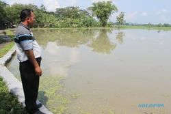 BANJIR KLATEN : Sawah dan Permukiman di Juwiring Terendam Air