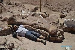 PENEMUAN BARU : Peneliti Temukan Fosil Dinosaurus 100 Ton