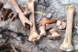 PENEMUAN TULANG : Temuan Tulang di Kantor Kesbanglinmas DIY Diduga Manusia Zaman Belanda