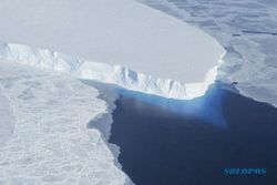 Awas! Es Antartika Barat Mencair, Air Laut di Belahan Dunia Naik