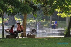 WISATA SOLO : Pengelola Fokus Benahi Lahan Hijau di Taman Balekambang 