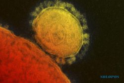 PENCEGAHAN WABAH MERS : Calhaj Mendapat Vaksin Influenza dan Meningitis