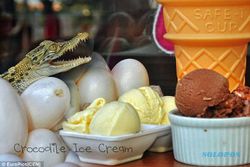 KISAH UNIK : Kuliner Ekstrem, di Filipina Ada Es Krim dari Telur Buaya