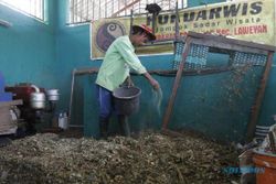 FOTO BANK SAMPAH : Sampah Organik untuk Pupuk Kompos