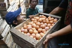 HARGA KEBUTUHAN POKOK : Harga Telur dan Daging Ayam Ras Melonjak