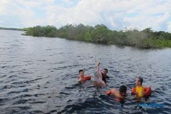 WISATA KE NEGERI SAMBA : Asyiknya Berenang Bersama Lumba-Lumba Air Tawar di Sungai Negro