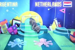 RAMALAN PIALA DUNIA 2014 : Ini Pemenang Belanda vs Argentina Versi Psychic Puppy