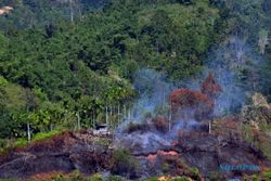 FOTO PEMBAKARAN LAHAN : Hutan di Bukit Barisan Dibakar untuk Pembukaan Lahan Baru