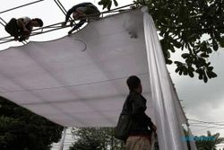 FOTO PILPRES 2014 : Tenda TPS Mulai Didirikan