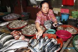 FOTO INFO BELANJA : Cuaca Tak Menentu, Ikan Laut Langka