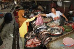 FOTO INFO BELANJA : Harga Ikan Laut Naik Rp5.000/Kg