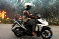 FOTO KEBAKARAN HUTAN : Kebakaran Lahan Riau Dekat Jalan