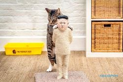 KISAH UNIK : Kini Tersedia, Cakaran Kucing Berwajah Kim Jong Un...
