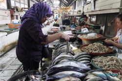 INFO BELANJA : Sudah 2 Pekan, Harga Ikan Terus Naik