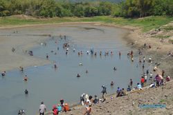 WADUK DI WONOGIRI : Dikuras, Penangkap Ikan Serbu Waduk Tandon