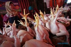 HARGA KOMODITAS : Harga Daging Ayam Berangsur Turun