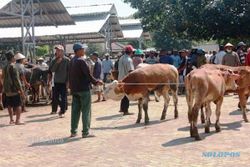 PEMBANGUNAN KLATEN : Desa Sidowayah Bakal Punya Pasar Hewan