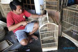 FOTO INFO BELANJA : Sangkar Burung Masaran Bisa Rp500.000
