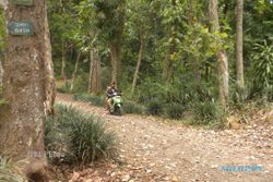 Kawasan Hutan Bromo Karanganyar Potensial Jadi Agro Eduwisata