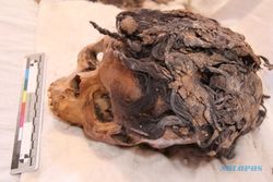PENEMUAN UNIK : Ditemukan, Mumi Perempuan Mesir Kuno dengan Hair Extension