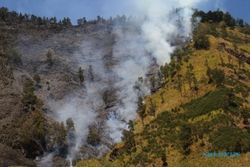 FOTO KEBAKARAN HUTAN : Wah, Hutan Sabana di Bromo Terbakar!