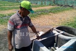 Petani Pesisir Kulonprogo Keluhkan Listrik Pertanian Batal Dipasang