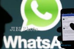 APLIKASI WHATSAPP : Whatsapp Tembus 800 Juta Pengguna Aktif