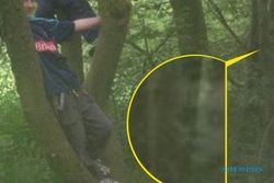 KISAH MISTERI : Wanita Inggris Tangkap Foto Hantu di Balik Pohon