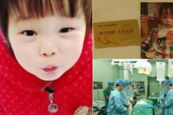 KISAH INSPIRATIF : Sumbangkan Organ Vitalnya, Gadis 3 Tahun Asal Tiongkok Selamatkan 5 Nyawa