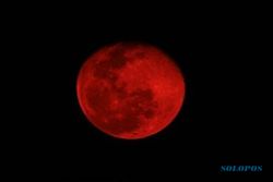 GERHANA BULAN : Jangan Lewatkan, Malam Ini Blood Moon Terlihat di Indonesia