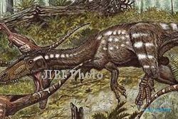 PENEMUAN FOSIL : Fosil Dinosaurus Pemakan Daging Jenis Baru Ditemukan di Venezuela