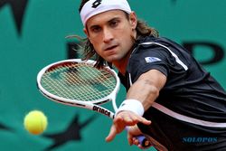 JELANG ATP WORLD TOUR FINALS : Ferrer Siap Mati-matian Demi Tampil di London
