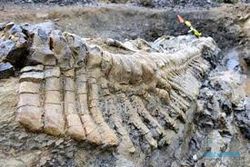 PENEMUAN BARU : Misteri Dinosaurus Berlengan Raksasa Terungkap