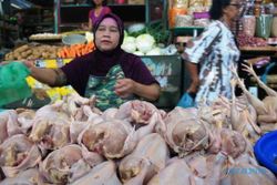 FOTO INFO BELANJA : Harga Ayam Potong Stabil Rp27.000/Kg